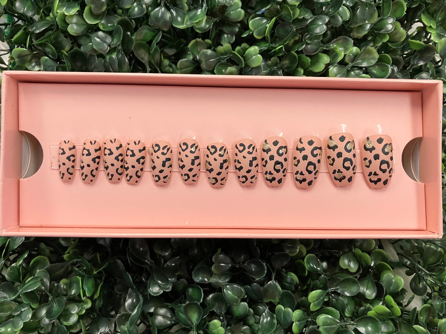 Fierce Press on Nails