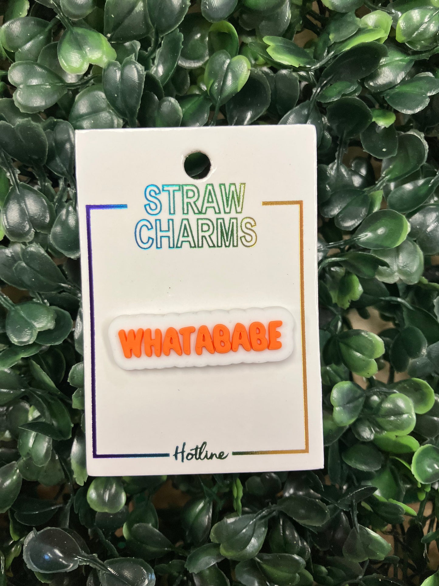 Straw Charms