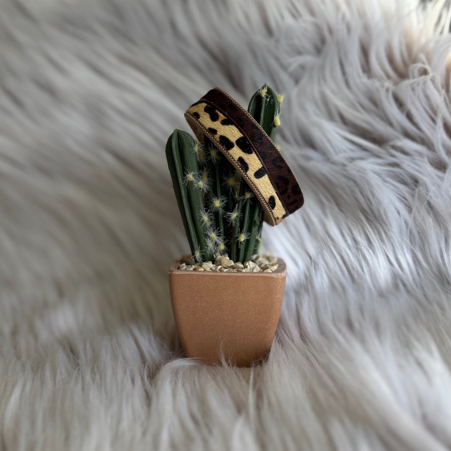 Faux cowhide magnetic snap bracelet displayed on cactus
