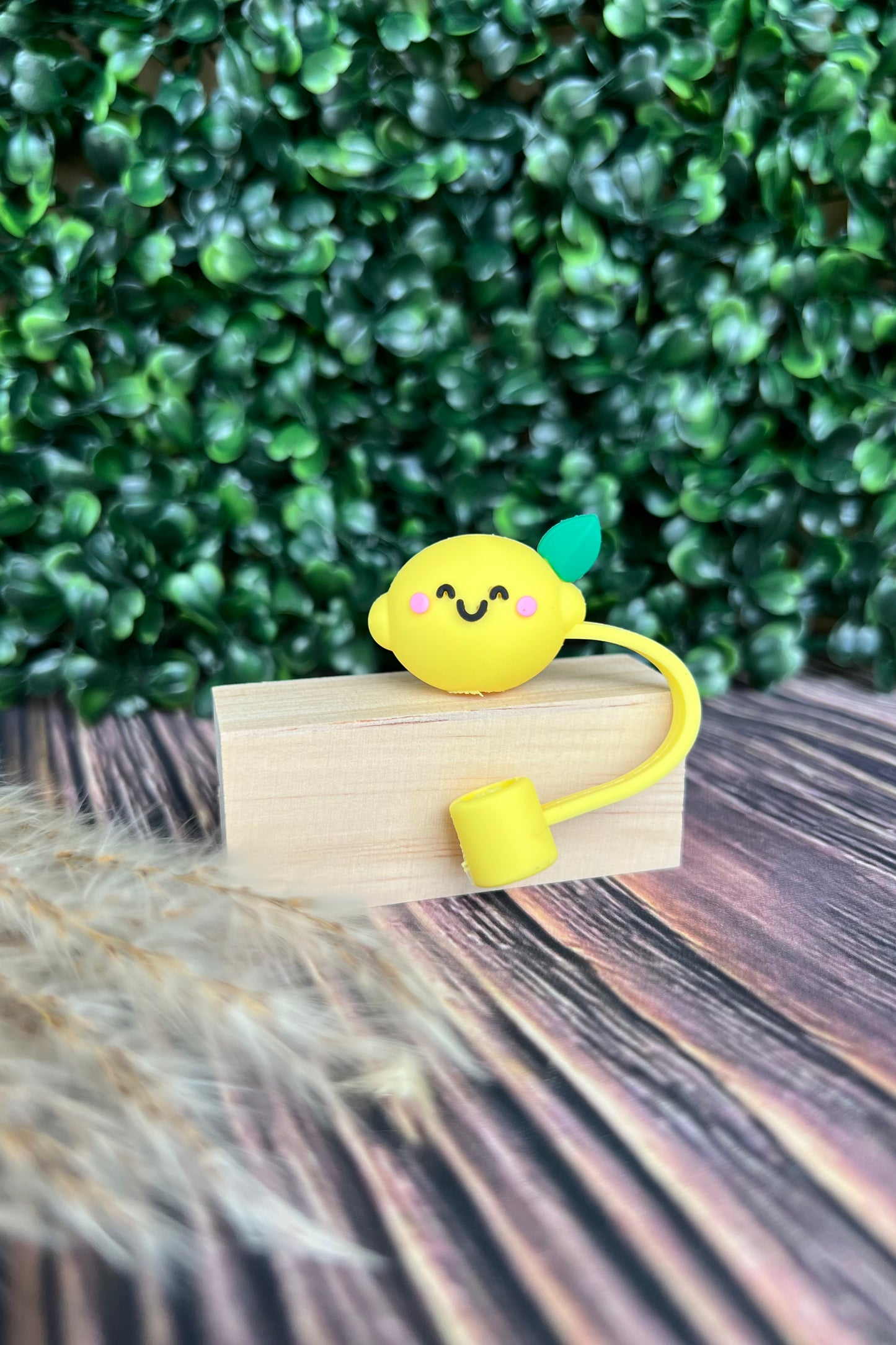 Straw Covers