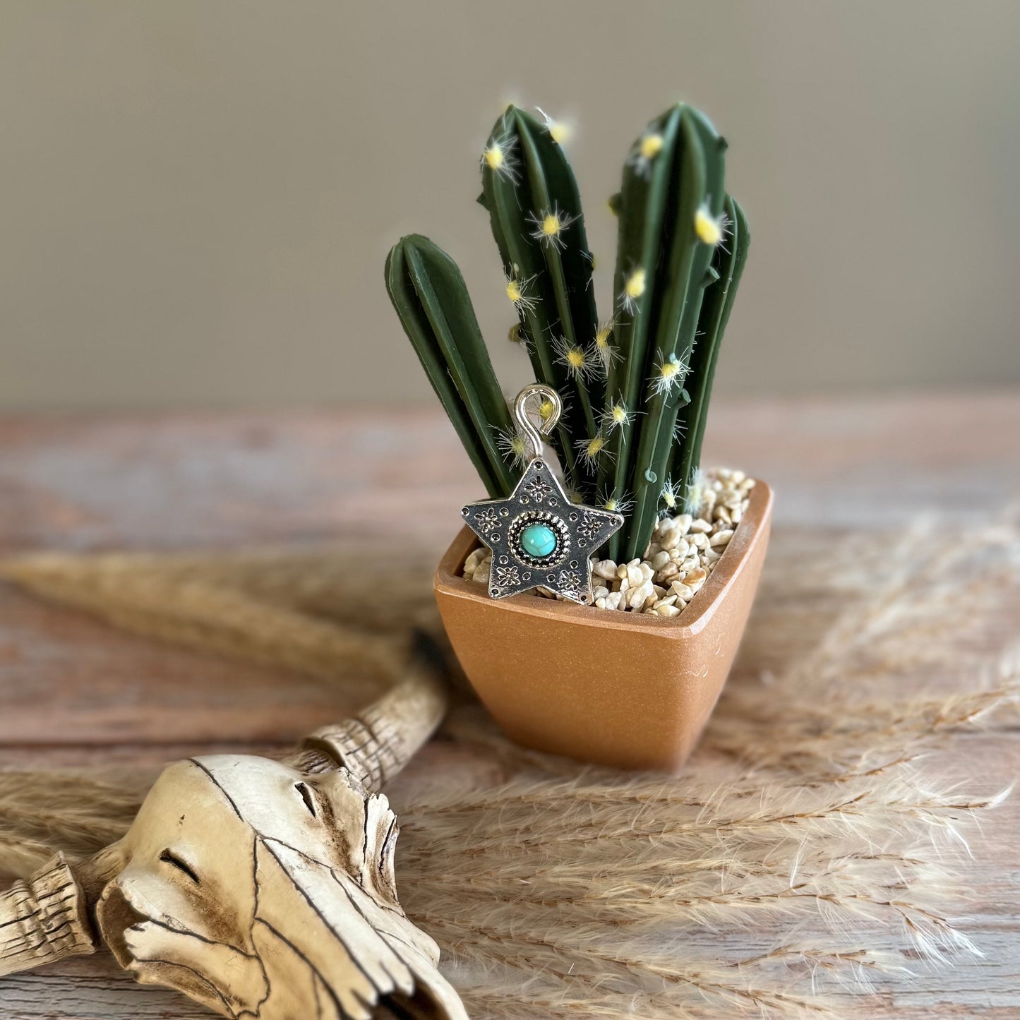 Lone Star Legacy Hat Clip Charm