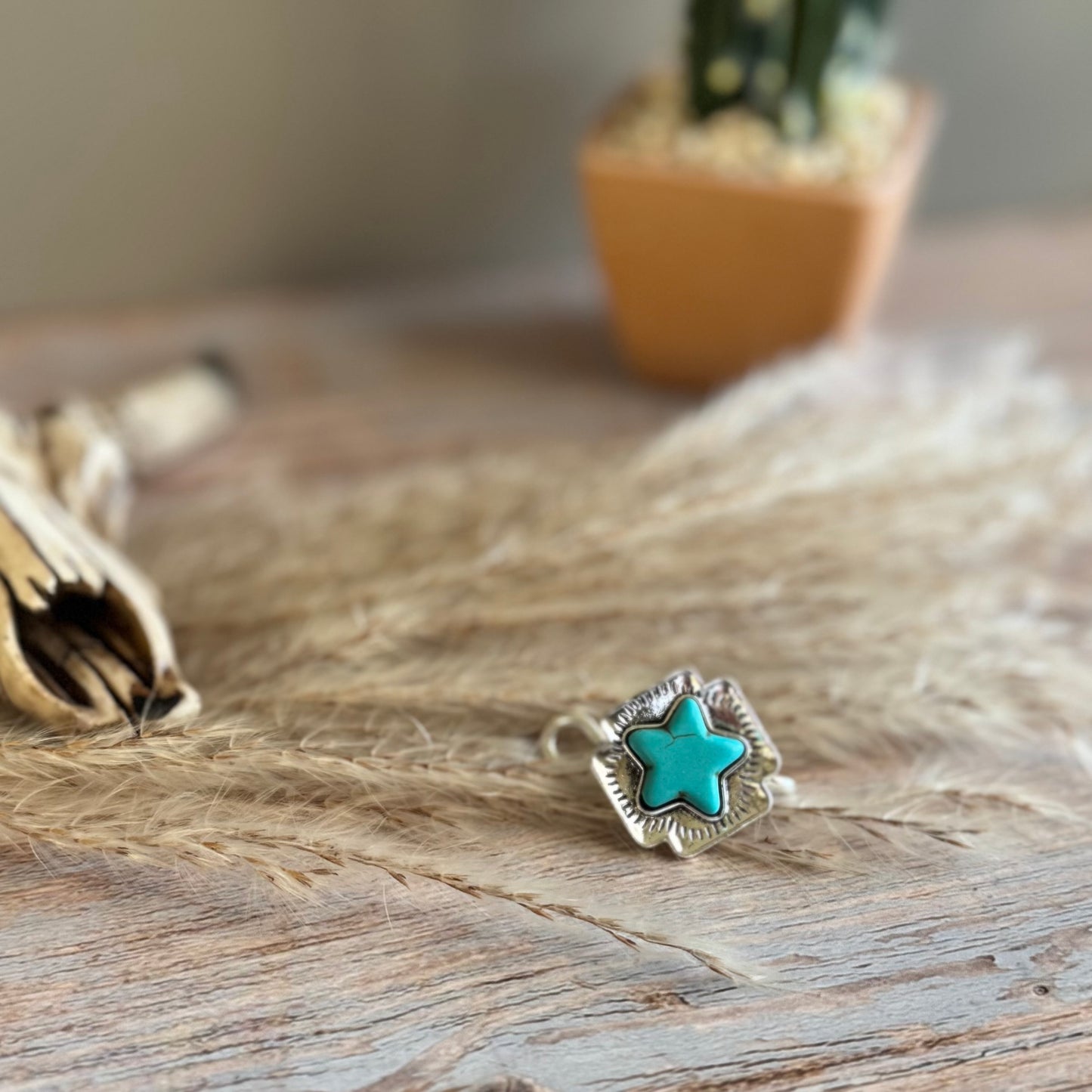 Prairie Starburst Hat Clip Charm